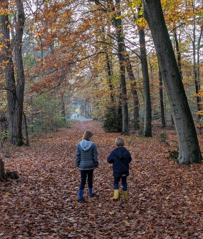 PXL_20251109_141642710